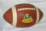 Vintage Bart Starr Macgregor Autograph Model F760 Hard Rubber Football. Fixed Price $95.00.