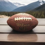 Wilson Official Nfl Football National League. Fixed Price $13.45.