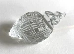 Waterford Irish Crystal Conch Shell Sculpture Paperweight Marked Mint Preowned. Fixed Price $39.99.
