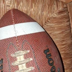 Wilson Brown White Stripe Football Classic Design For Sport/activity. Fixed Price $13.75.