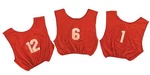 Champion Dozen Adult All Sport W/ Numbers 1-12 Pinnies Scrimmage Vests 4 Colors. Fixed Price $54.99.