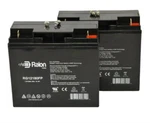 Raion Power 12V 18AH Replacement Battery For Champion NP20-12 2PK. Fixed Price $84.99.