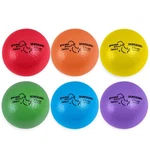 Champion Sports Rhino Skin Basic Dodgeball Set, 6". Fixed Price $52.19.