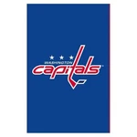 Nhl Team Sports Evergreen Applique Garden Flag 12.5" X 18". Fixed Price $9.99.
