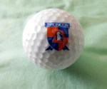 Denver Broncos Logo Golf Ball Vintage Wilson. Fixed Price $7.95.