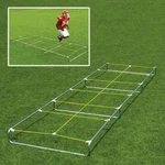 Fisher Agility Master 25' High Step Trainer. Fixed Price $339.00.