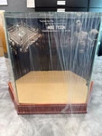 Steiner Sports Football Helmet Glass Display Case With Mike Tyson Decals. Fixed Price $79.99.